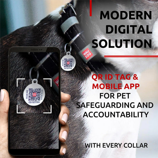 Long Lasting Leather Dog Collar for Large Dogs Medium Small Dogs 11 14 inch