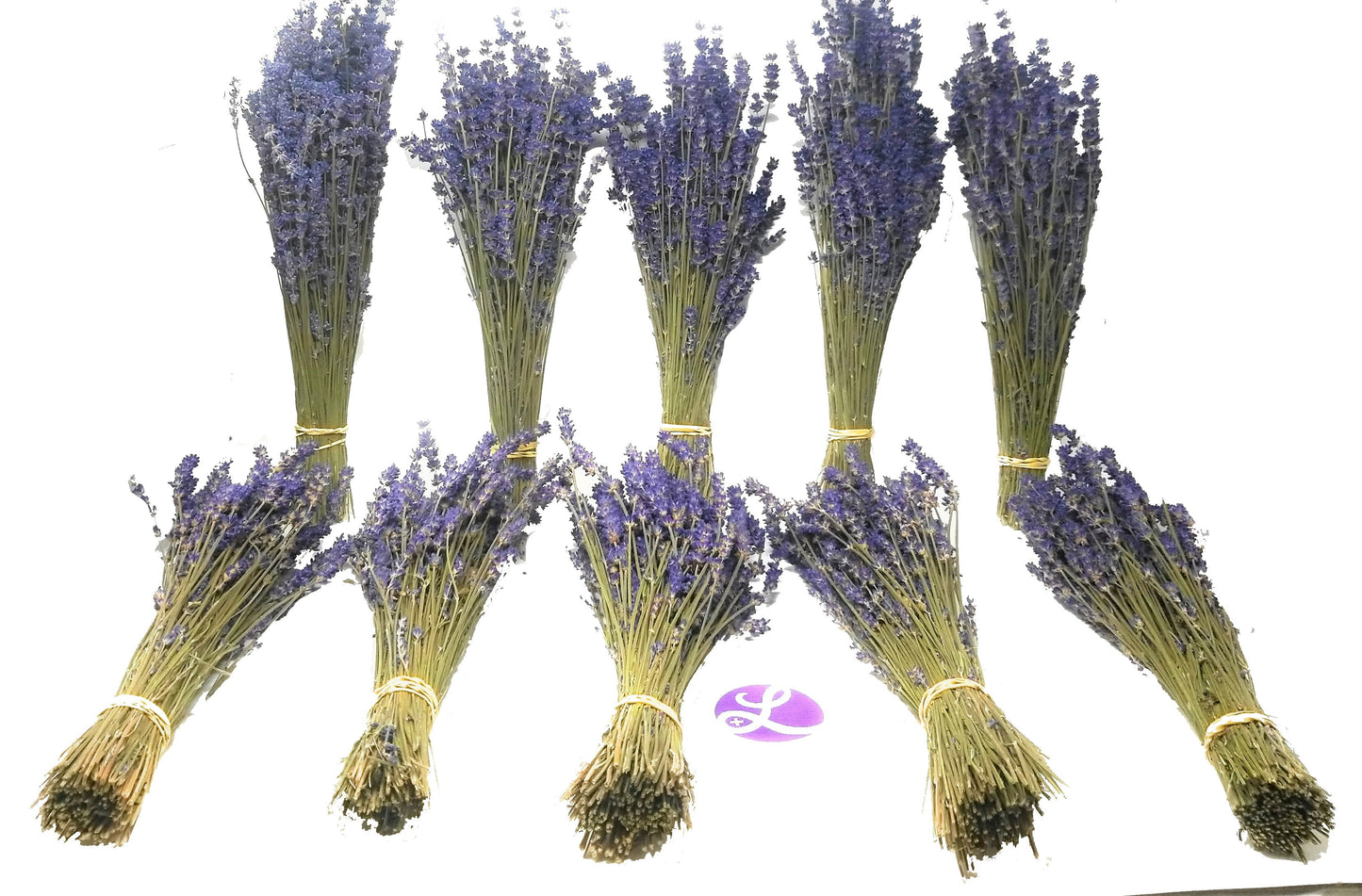 Dried Lavender Bundles Royal Velvet 14-18 Inch Aromatherapy Decor