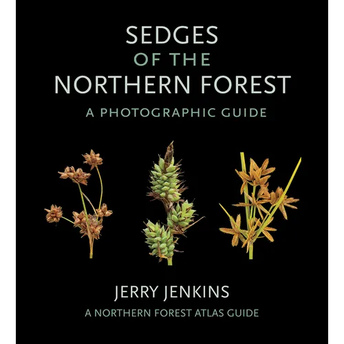 Sedges of the Northern Forest: A Photographic Guide - Paperback