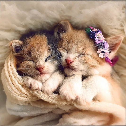 500 Piece Jigsaw Puzzles, Sleeping Kittens, Baby Animals, Pets, Cats, Adult Puzzles, Trefl 37271