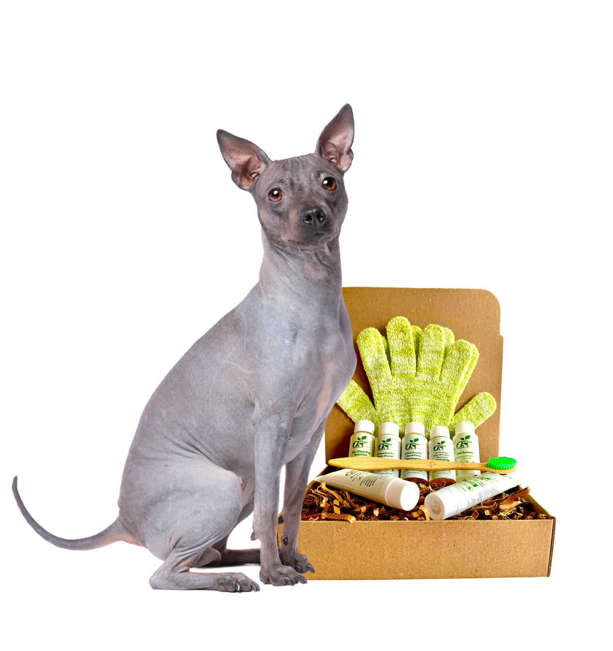 4-HAIRLESS PETS *DOG RESTORATIVE KIT