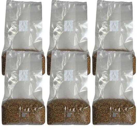 Sterile Mushroom Grain Spawn Bag (5 Pound)