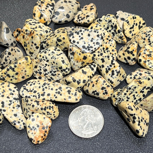 Spotted Dalmatian Jasper Tumbled Stones (By The Piece Or Pound) Wholesale