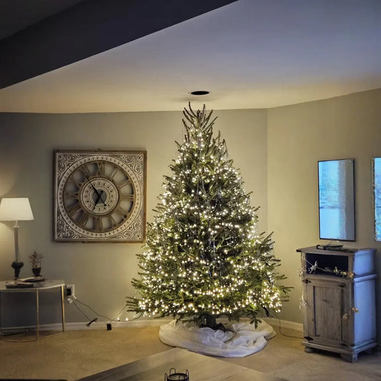 Real Christmas Trees Delivered 7 Foot Premium Fraser Fir