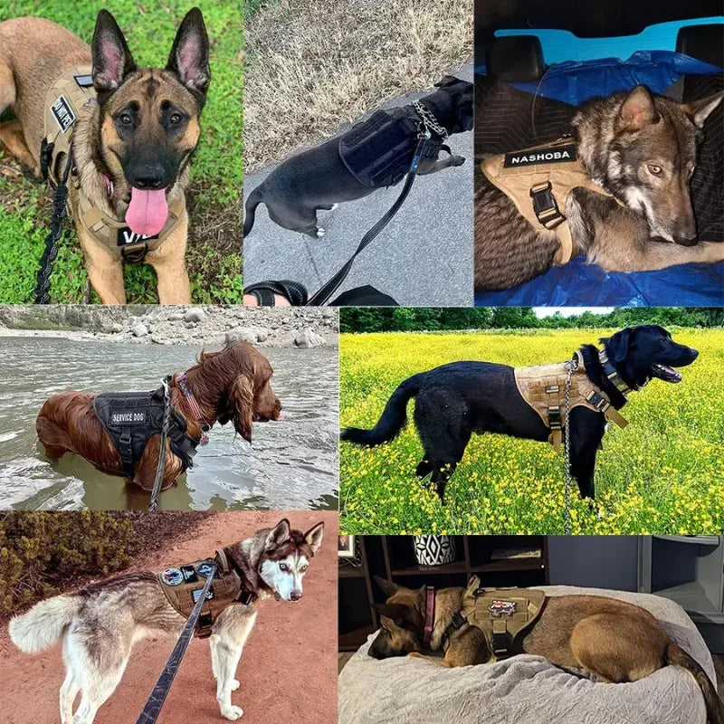 Large Dog Harness & Leash Set – Training Vest for Big Breeds