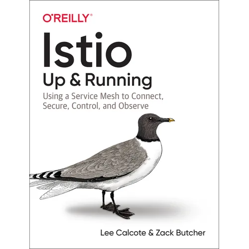 Istio: Up and Running: Using a Service Mesh to Connect, Secure, Control, and Observe