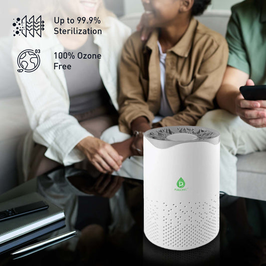 USB Powered True HEPA Air Purifier