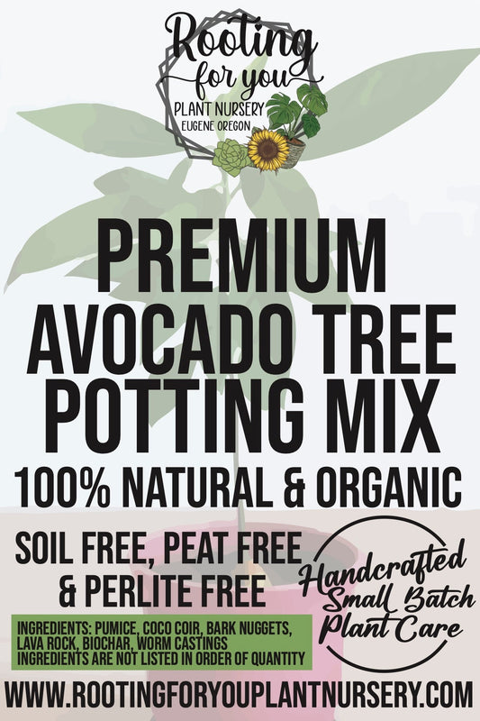 Avocado Tree Premium Potting Mix