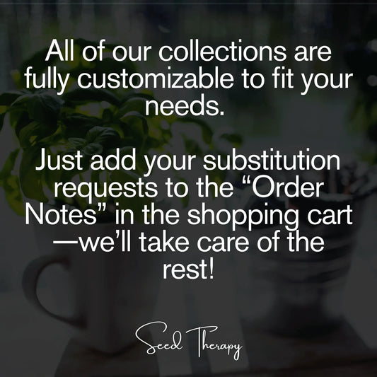 Culinary Herb Seed Collection – 15 Varieties