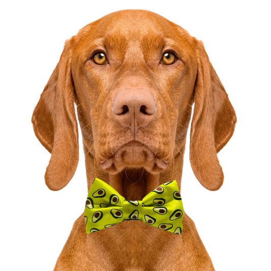 Avodoggo Green Avocado Dog Bow Tie
