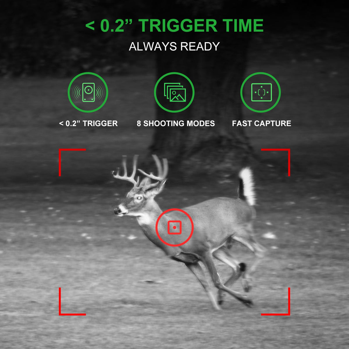 REXING H1 Blackhawk Night Vision Trail Camera Full HD 1920×1080