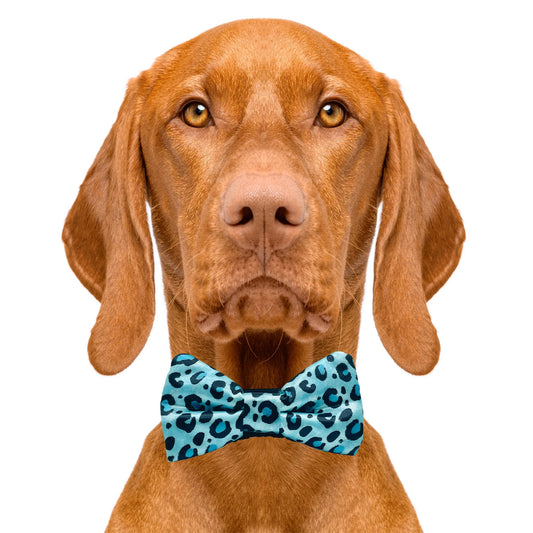 Blue Cheetah Print Dog Bow Tie