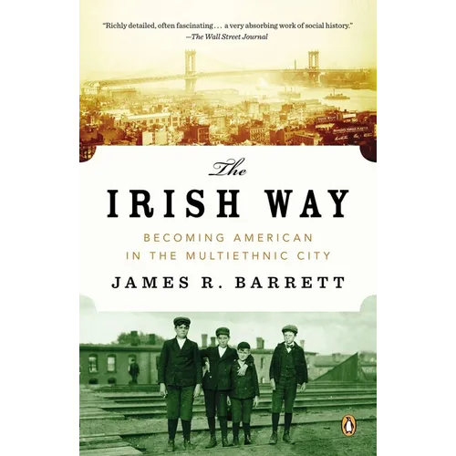 The Irish Way: Becoming American in the Multiethnic City