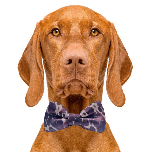 Cow Print Dog Bow Tie