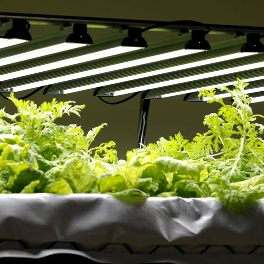 Dual-Spectrum LED Grow Light | 80 W