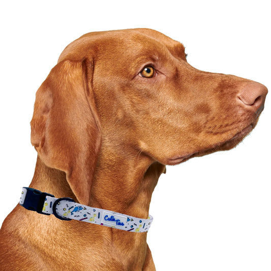 Dino Doggy White Dog Collar