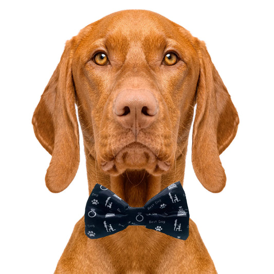 Dog of Honor Wedding Black Dog Bow Tie