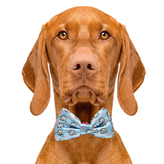 Elephant Love Blue Dog Bow Tie