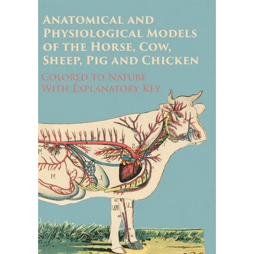 Anatomical and Physiological Models of the Horse, Cow, Sheep, Pig and Chicken - Colored to Nature - With Explanatory Key - Paperback