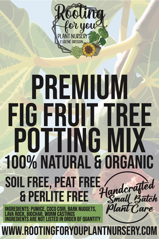 Fig Fruit Tree Premium Potting Mix