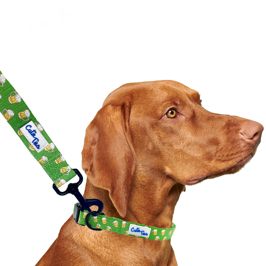 St. Patrick's Day Green Beer Dog Leash