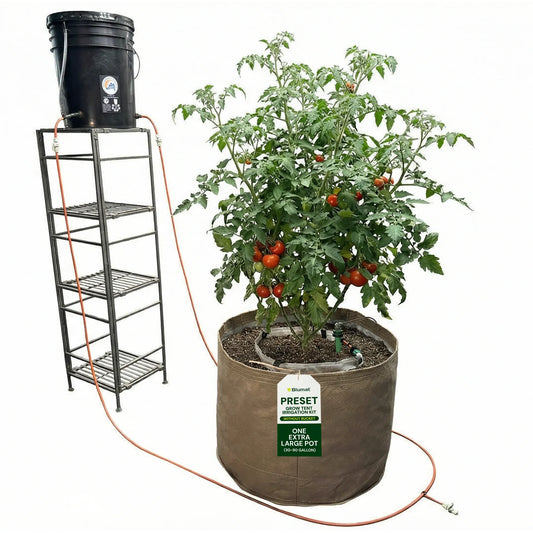 One Extra Large Pot (30-90 Gallon) / No