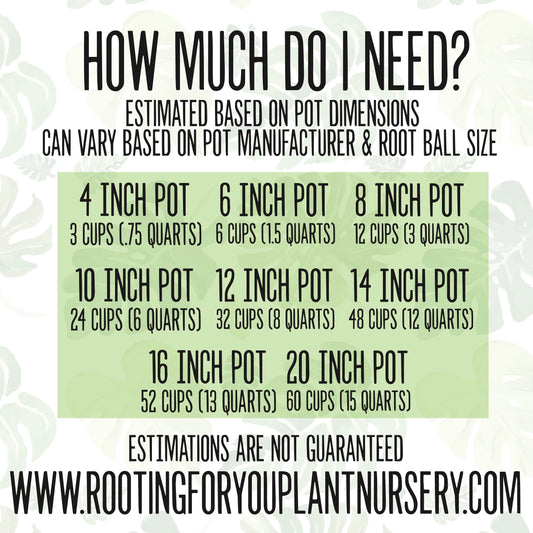 Angel Trumpet Premium Potting Mix