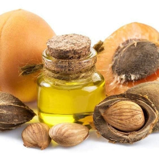 Apricot Kernel Oil - Refined