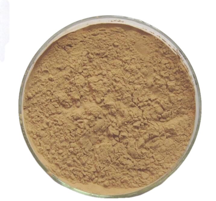 Gotu Kola Extract Powder