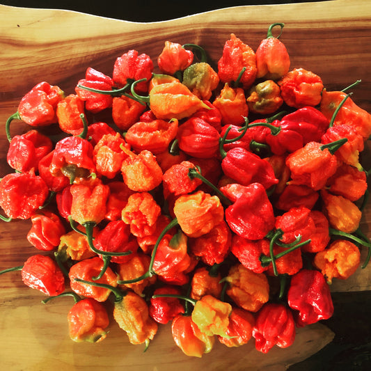 Market - Carolina Reaper - Seeds