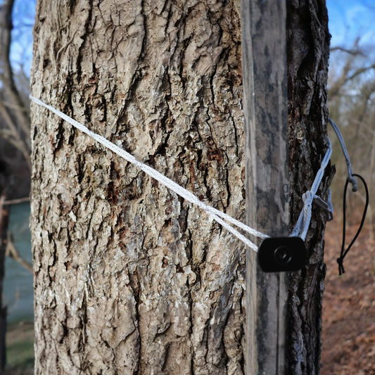 88" 7/64" AmSteel® Daisy Chain