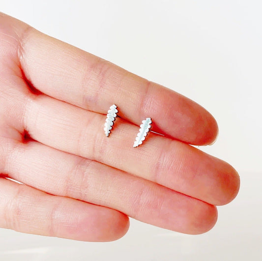 Ric Rac Cactus Metal Stud Earrings