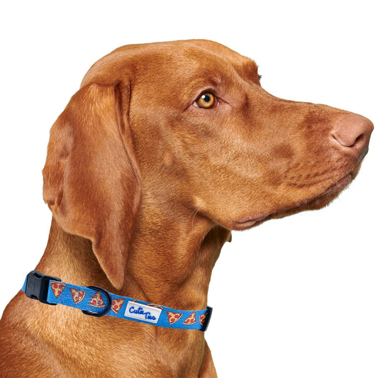 I Usually Only Get The Crust Pizza Dog Collar