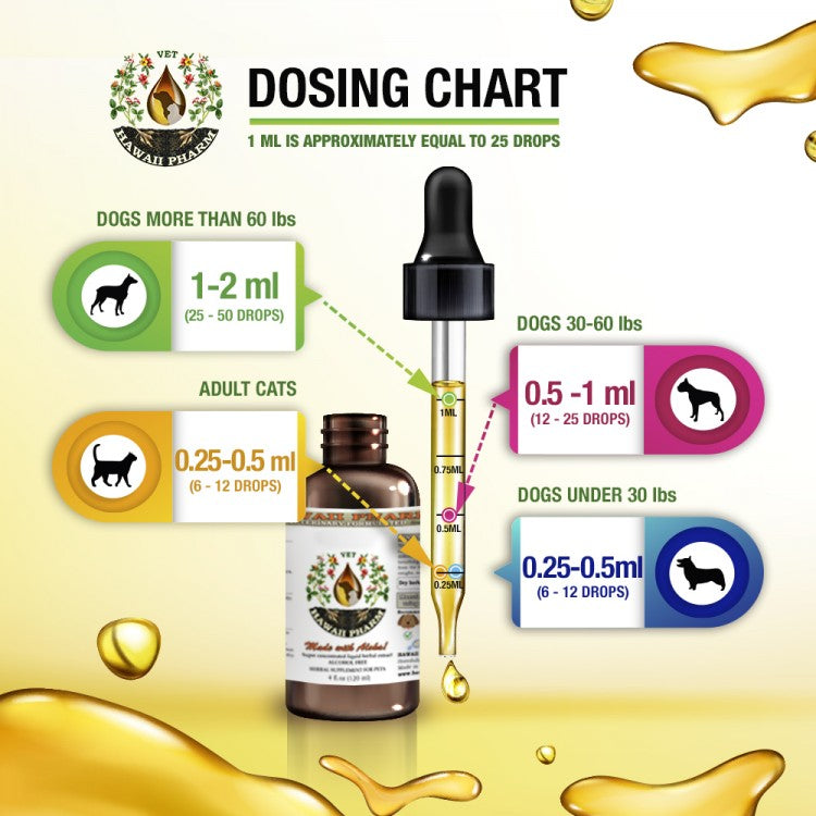 IMMUNE HEALTH / Immunity Booster (Liquid)