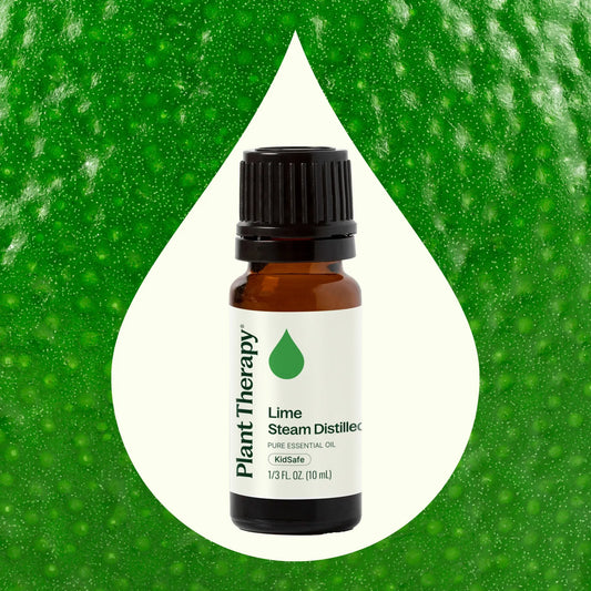 Lime Steam Distilled Essential Oil - 🆕 New Arrivals, All Products, Sellers in Idaho, Products from Plant Therapy, 💄 Health + Beauty - Little Red General Store