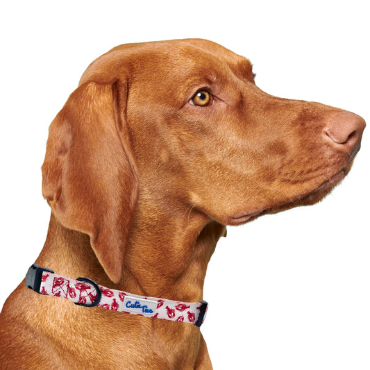 Lobster White Dog Collar