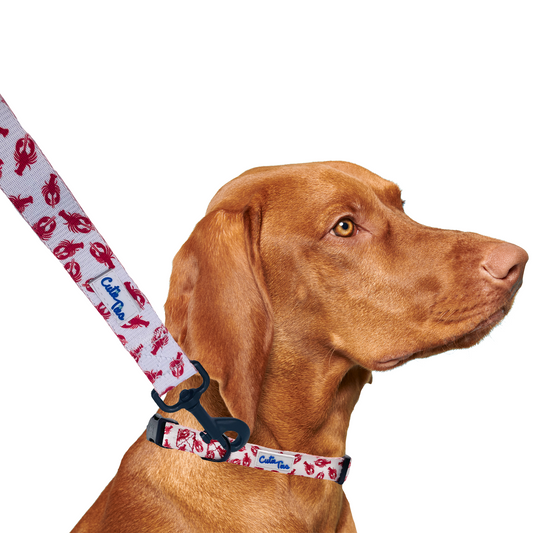 Lobster White Dog Leash