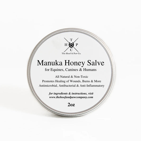 Manuka Honey Healing Salve with Herbal Infusion - For Dogs, Horses & Humans