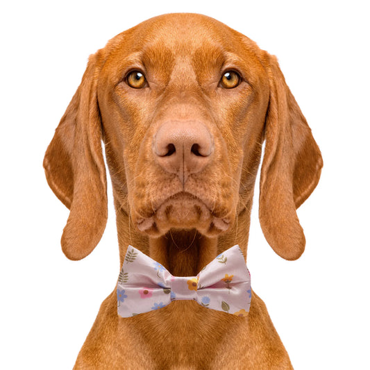 Modern Floral Flower Dog Bow Tie