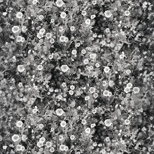 Cali Flowers Wallpaper, midnight
