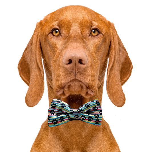 Paw Print Dog Bow Tie