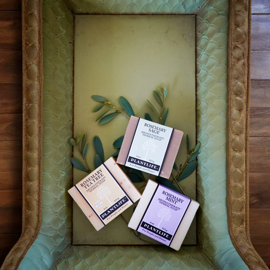 Rosemary Soap Bundle