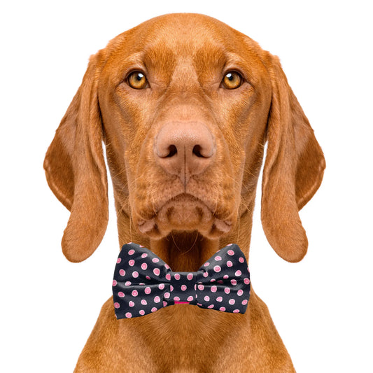 Polka-Dot Pink & Black Dog Bow Tie