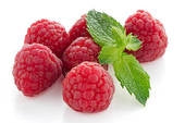 Raspberry, Red 'Nova' (Live Plant)