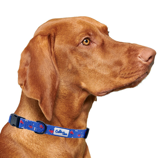 Red, White and Bones American Flag USA Dog Collar