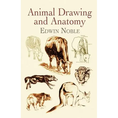 Animal Drawing and Anatomy
