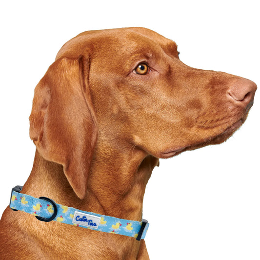 Rubber Duckies Dog Collar