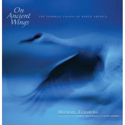 On Ancient Wings: The Sandhill Cranes of North America