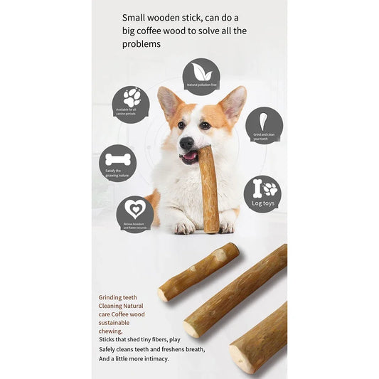 Coffee Wooden Dog Chew Stick – Tooth Pressure Relief Toy