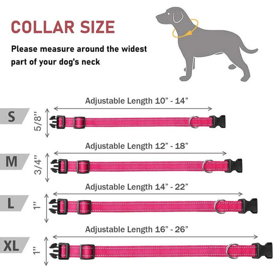 Reflective Adjustable Nylon Dog Collar Strap – Safety Traction Rope